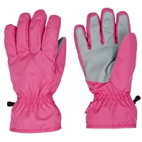 DI-1704 Ski Gloves