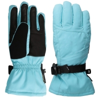 DI-1708 Ski Gloves