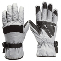 DI-1709 Ski Gloves