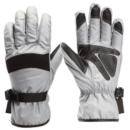 DI-1709 Ski Gloves