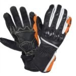 gloves